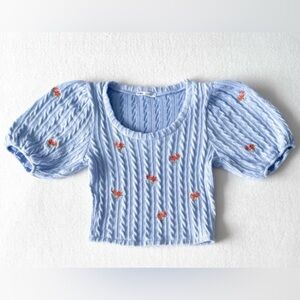 Zara Blue Puff Sleeve Knit Top with Floral Embroidery